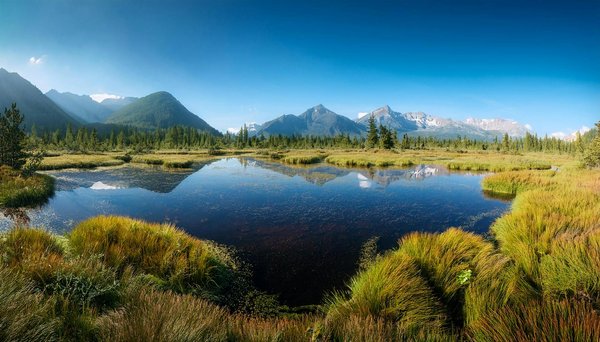 Safari personnalisé : destinations africaines inoubliables