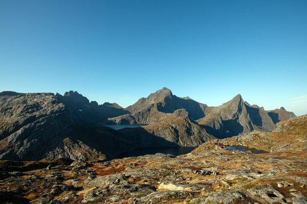 Les Incontournables Expositions Temporaires de l'Année : Ne Passez Pas à Côté !
